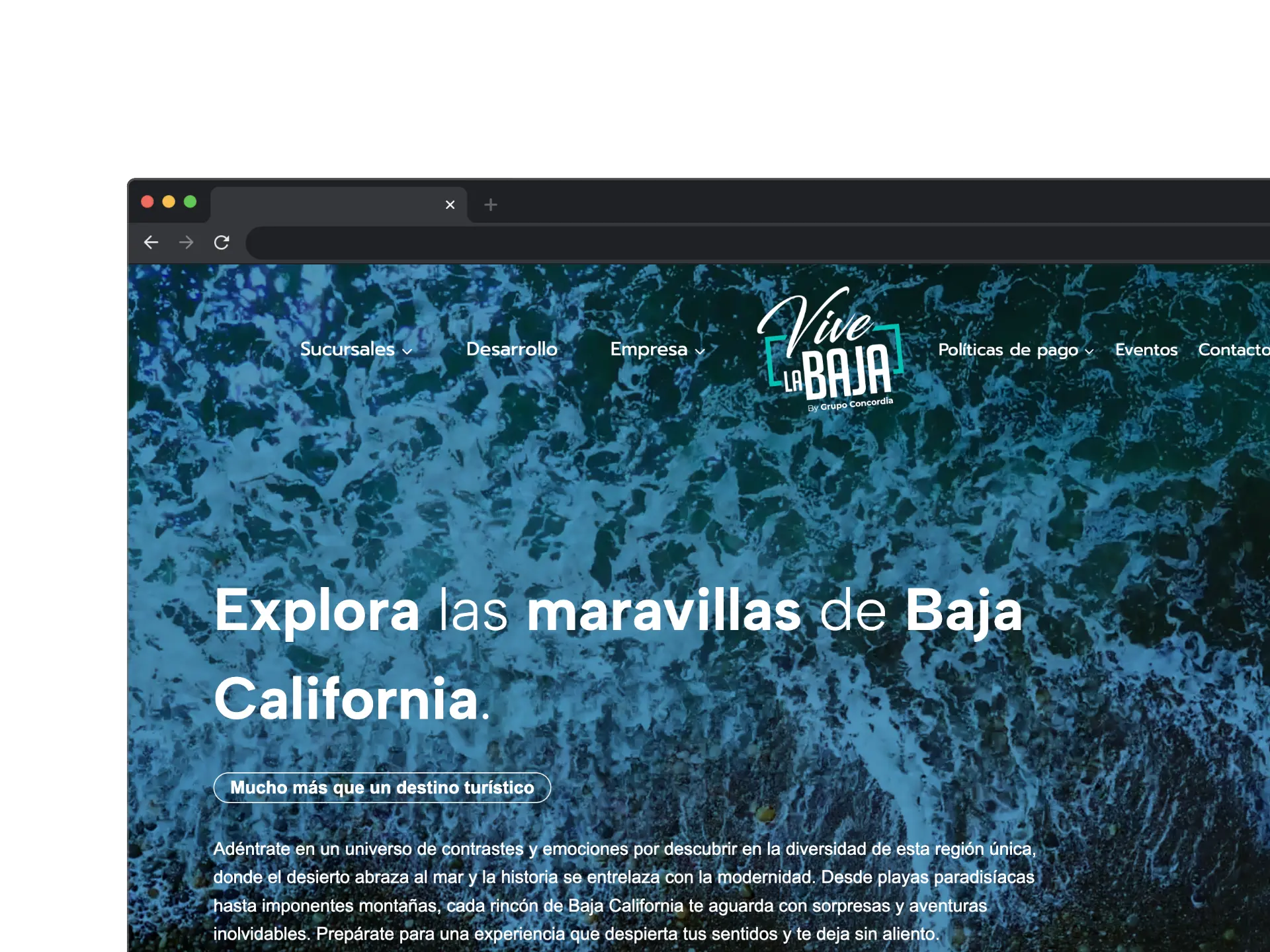 Proyecto Vive la Baja